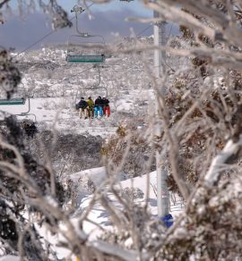 Perisher school snow trips